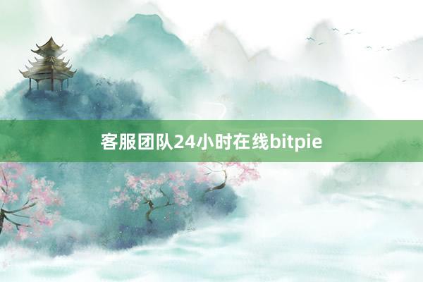 客服团队24小时在线bitpie