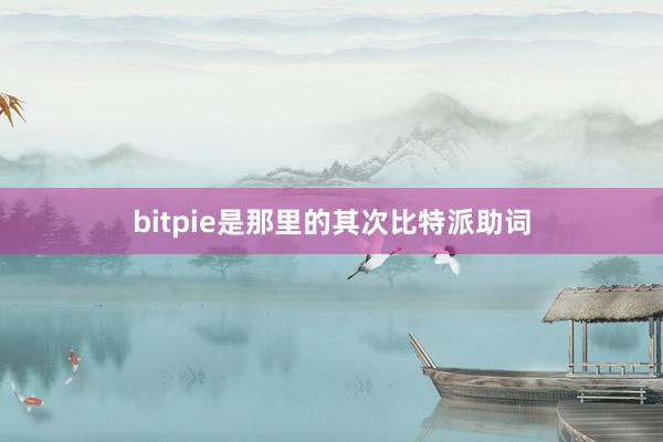 bitpie是那里的其次比特派助词