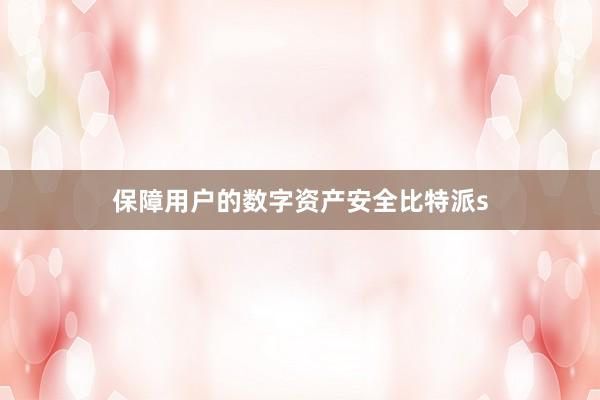 保障用户的数字资产安全比特派s