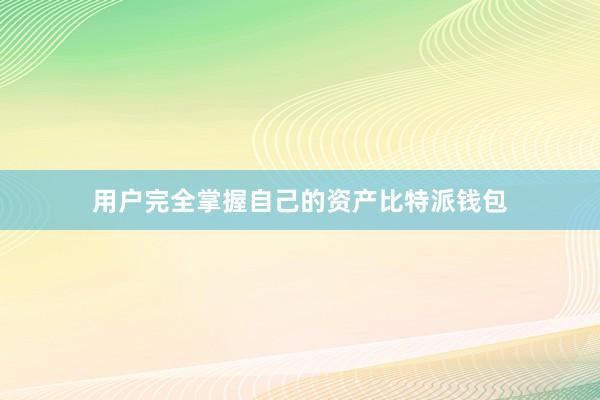 用户完全掌握自己的资产比特派钱包