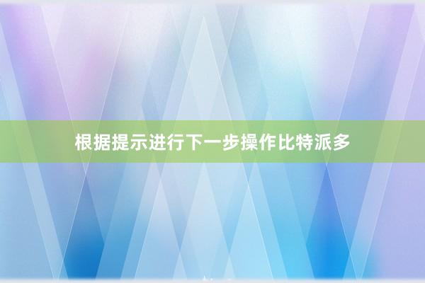 根据提示进行下一步操作比特派多