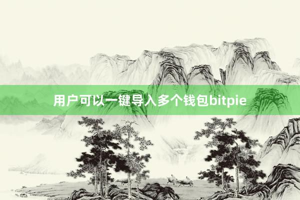 用户可以一键导入多个钱包bitpie