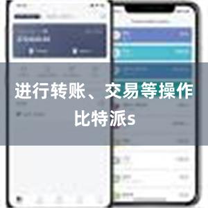 进行转账、交易等操作比特派s