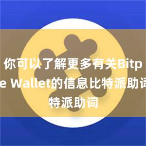 你可以了解更多有关Bitpie Wallet的信息比特派助词