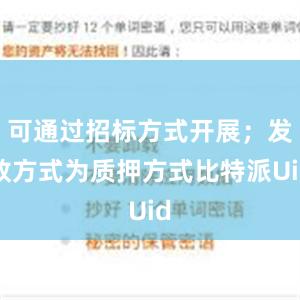 可通过招标方式开展；发放方式为质押方式比特派Uid